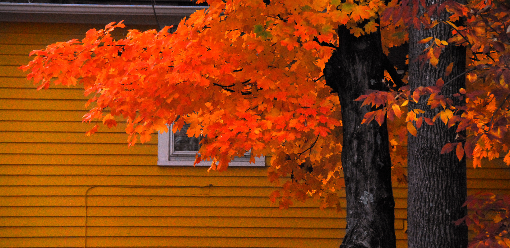 Fall Homeowner Checklist header image.