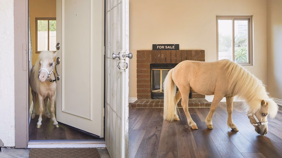 Do Tiny Horses and Other Gimmicks Really Sell Houses Faster? By Realtor.com header image.