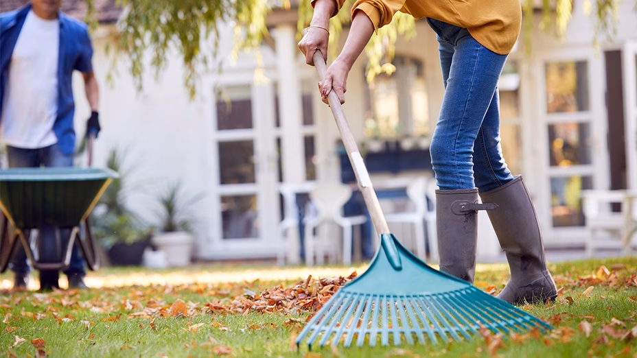 7 Maneras en que Estás Rastrillando Mal tu Patio (y Cómo Hacerlo Bien) Por Realtor.com header image.