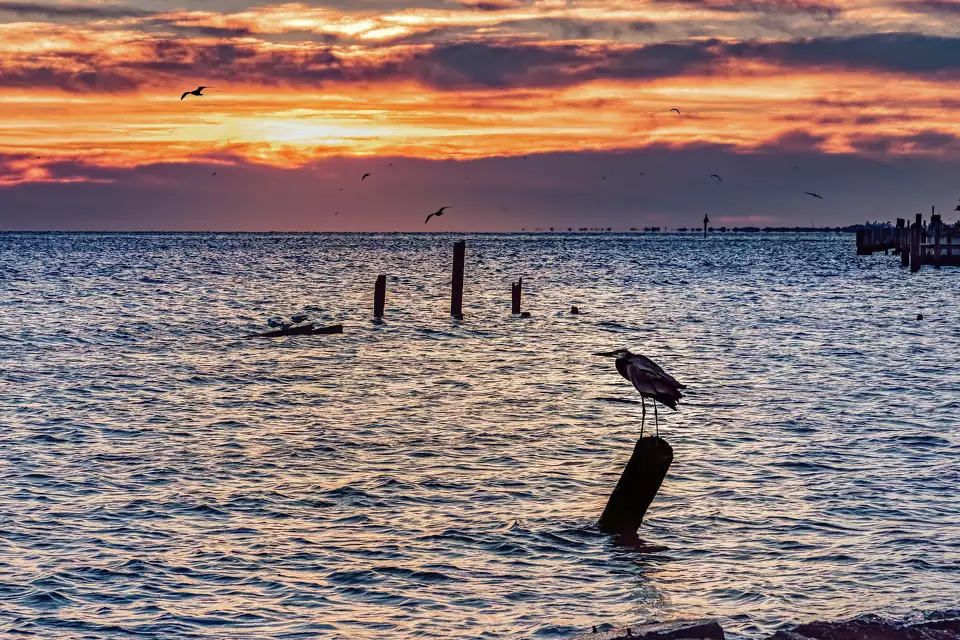 Why Seabrook should be your family's next Southeast Texas getaway By Chron header image.