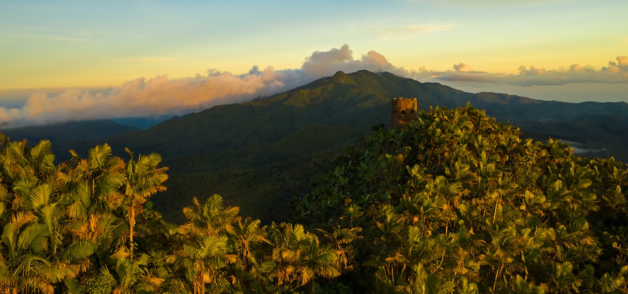 Visit El Yunque National Forest By Discover Puerto Rico header image.