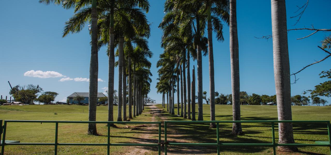 Things to Do in Manatí By Discover Puerto Rico header image.