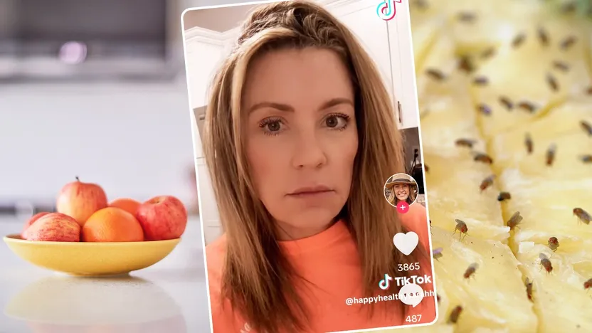 Woman Is Left Horrified by Infestation of Fruit Flies in Her Home—Here’s How To Get Rid of Them By Realtor.com header image.