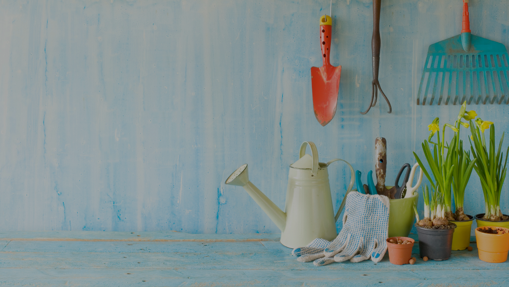 Seed Starting 101 by HomeKeepr header image.