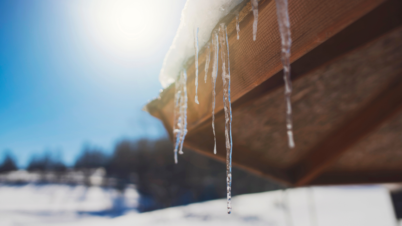 Tips to protect pipes, keep pets safe as below-freezing temperatures are set to hit the Houston area Dec. 22-23 By Community Impact header image.