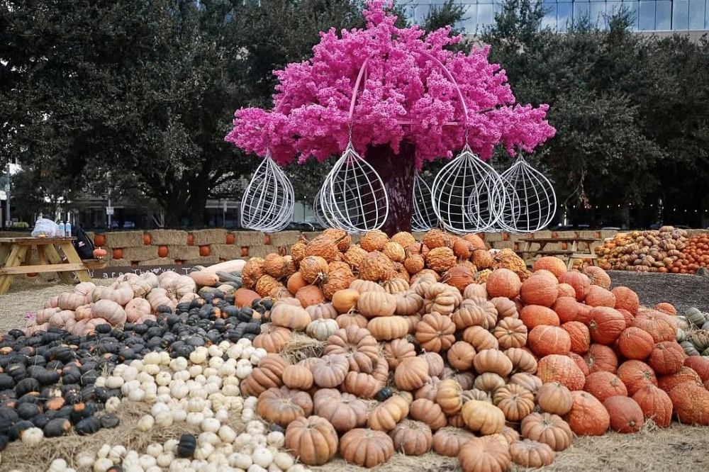 8 events happening in the Houston area this weekend, Oct. 3-5 By Community Impact header image.