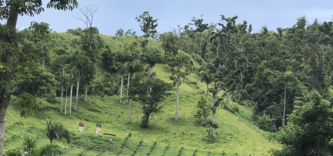 Experiencias de Ecoturismo en Puerto Rico Por Discover Puerto Rico header image.