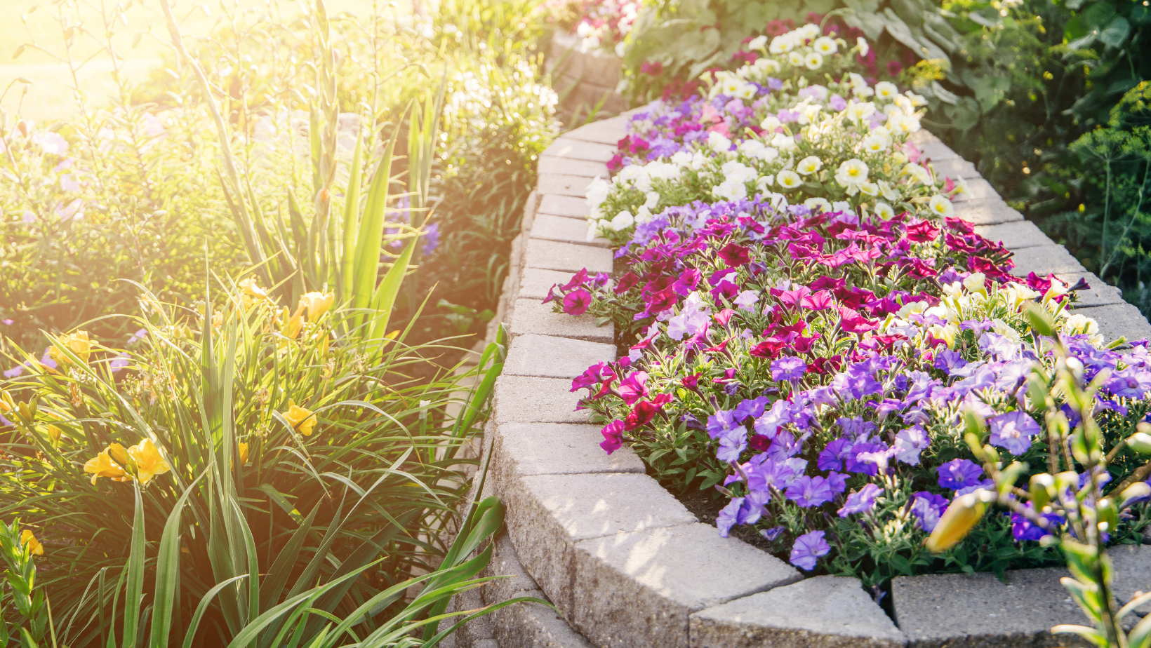 Landscaping for Curb Appeal By HomeKeepr header image.