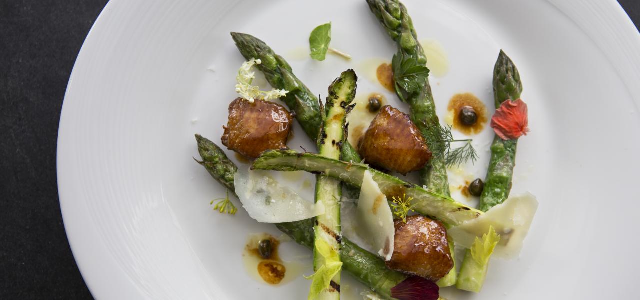 Fine Dining Experiences in Puerto Rico By Discover Puerto Rico header image.