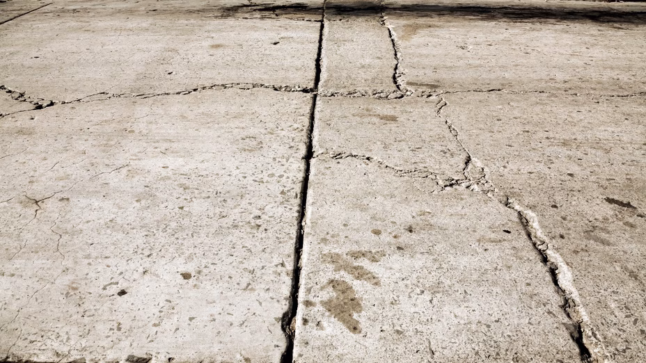 Una pequeña grieta en la acera de esta dueña de casa terminó costándole miles de dólares Por Realtor.com header image.
