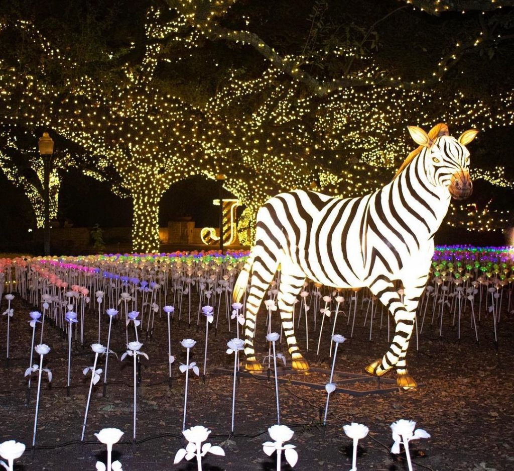 Houston Zoo Lights Returns This Week By Secret Houston header image.