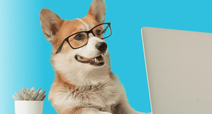 BarkSuds coming soon to Pine Market in Montgomery By Community Impact header image.