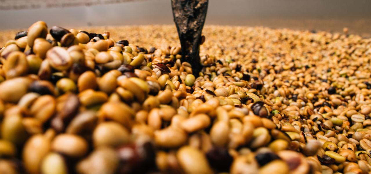 Dónde degustar café puertorriqueño Por Discover Puerto Rico header image.