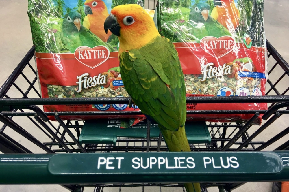 Pet Supplies Plus now open in Harper’s Preserve By Community Impact header image.