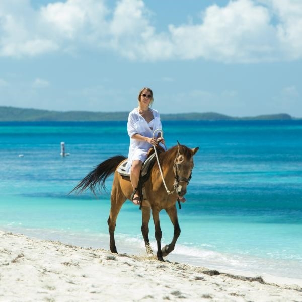 Cabalgatas By Discover Puerto Rico header image.