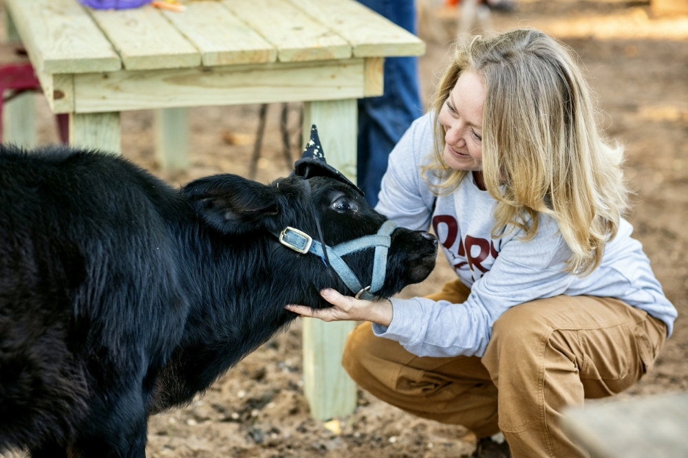 Check out these 8 events to stay festive after Christmas By Community Impact header image.