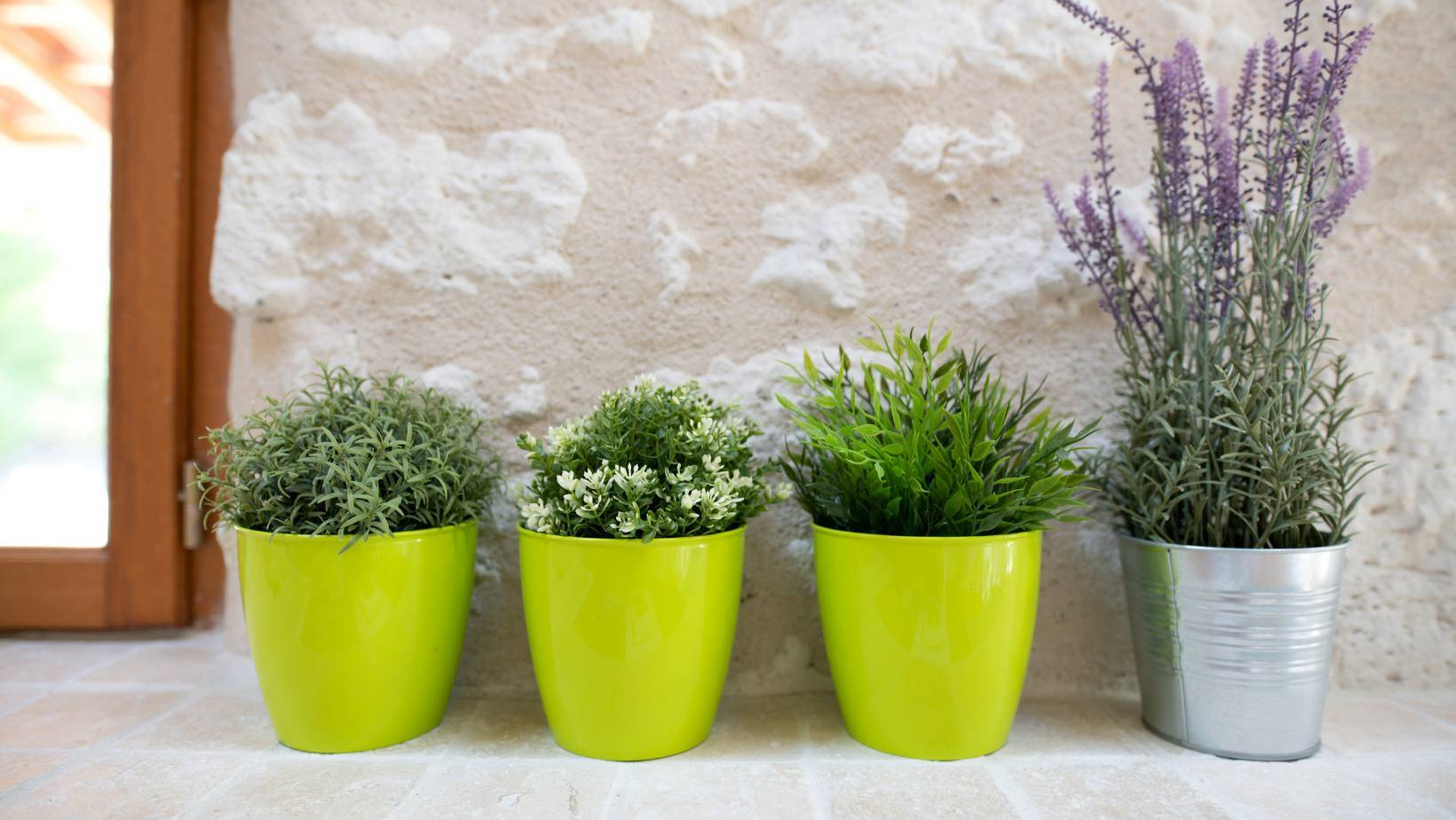 What’s a Plant Ledge? By HomeKeepr header image.