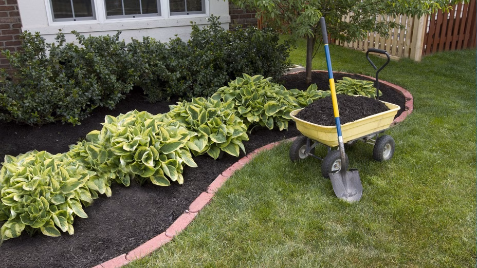 5 Fast-Growing Border Plants That Will Increase Curb Appeal By Realtor.com header image.