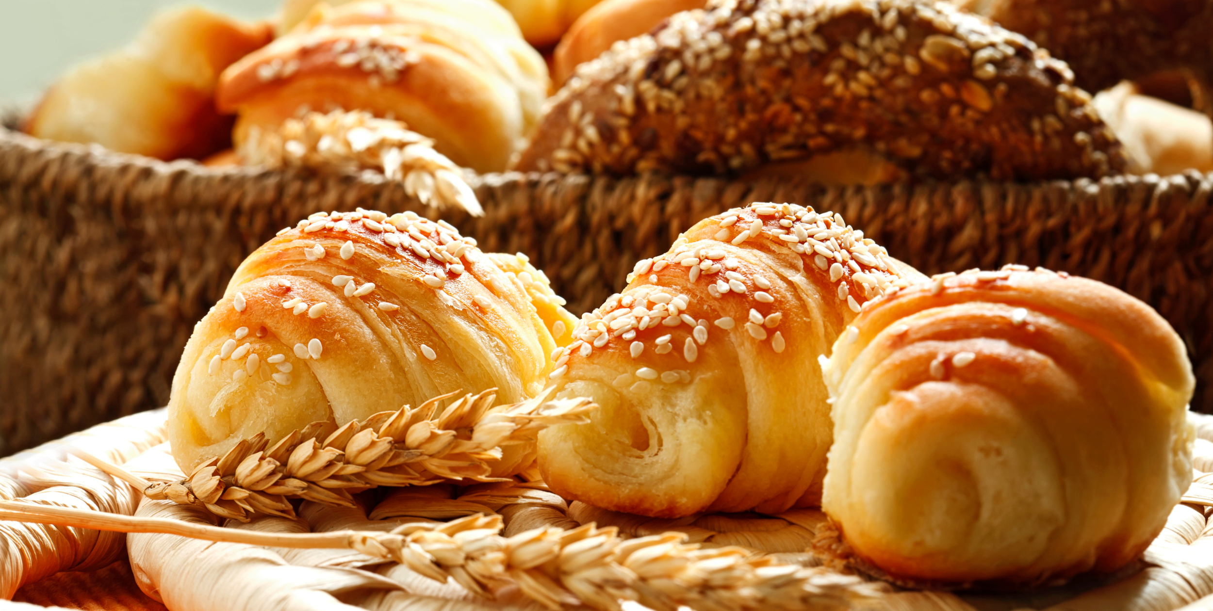 Eight Houston Restaurant Openings to Know Right Now By Houston Eater header image.