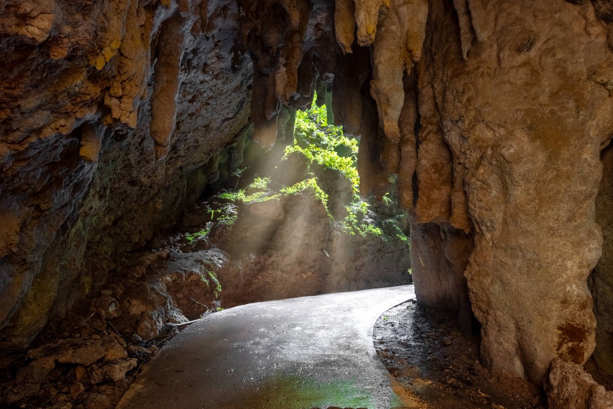 Explora el Parque de las Cavernas de Camuy By Discover Puerto Rico header image.