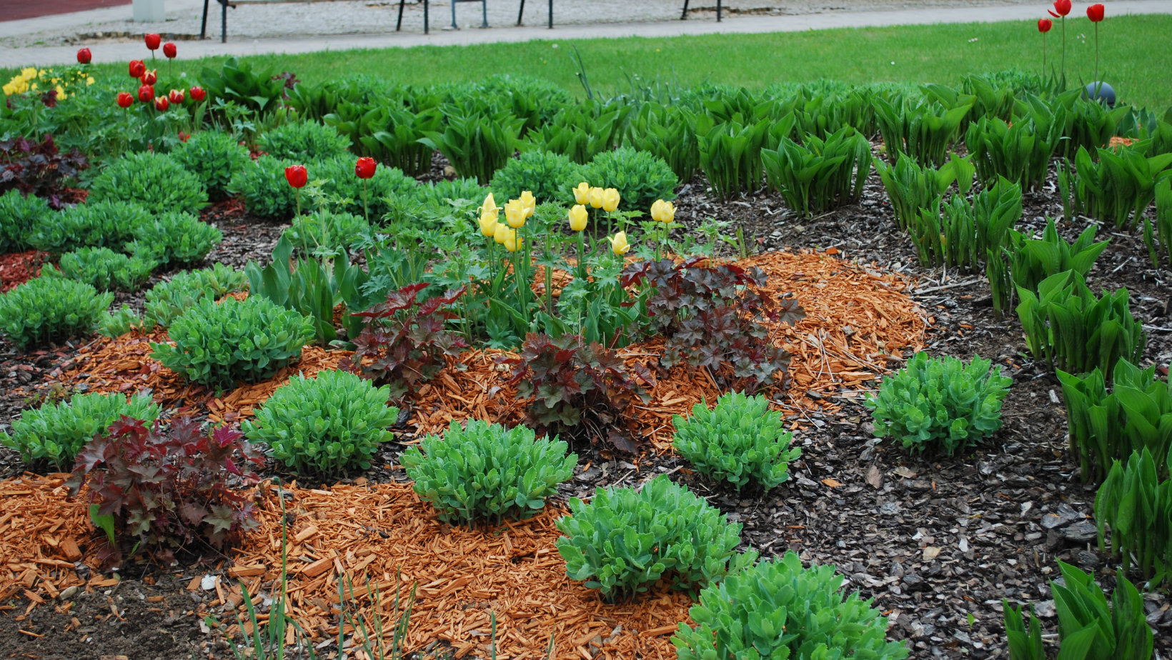 Top Landscape Plants for Fall By HomeKeepr header image.