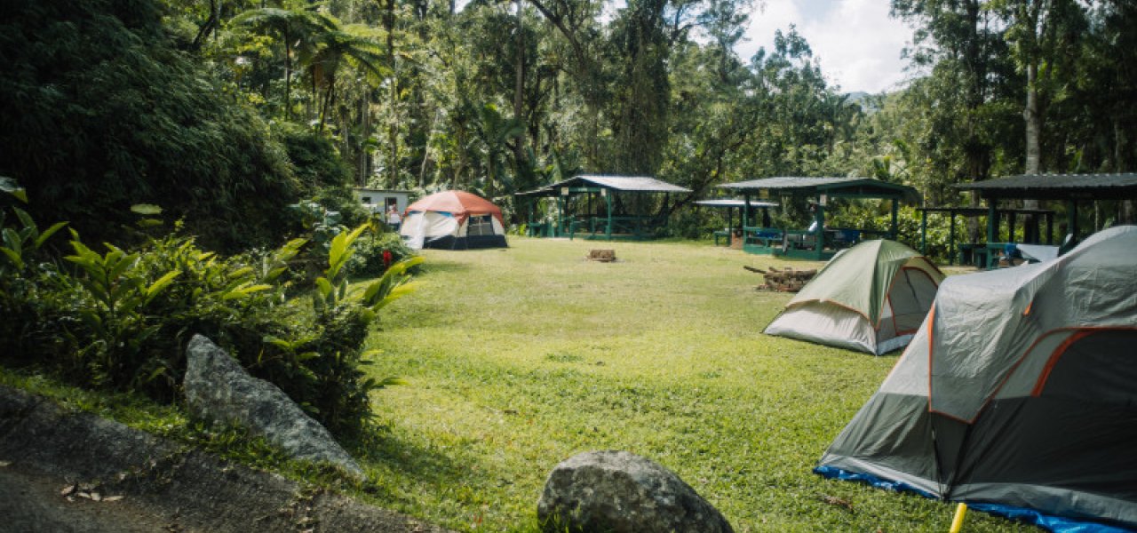 Explore the Outdoors: Puerto Rico's Top Nature Tours By Discover Puerto Rico header image.