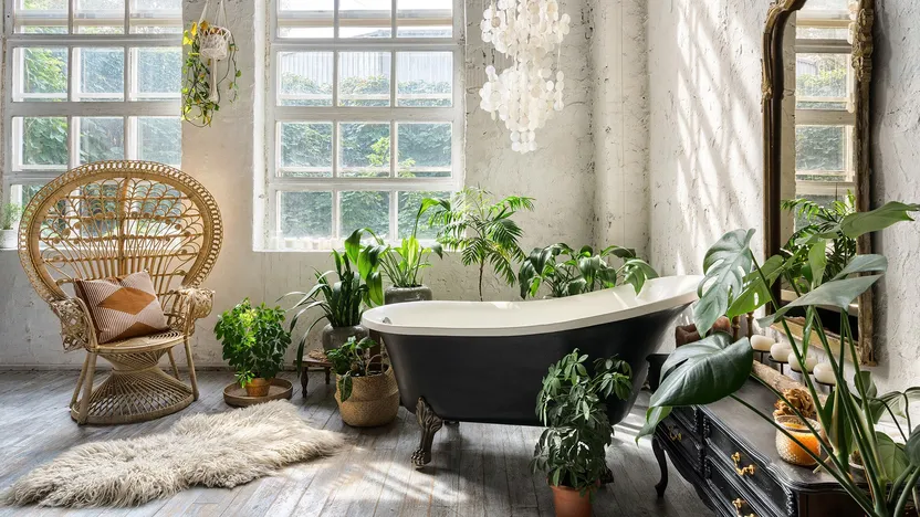 The New Wave in Decor: These Are the Hottest Design Trends You’ll See in 2024 By Realtor.com header image.