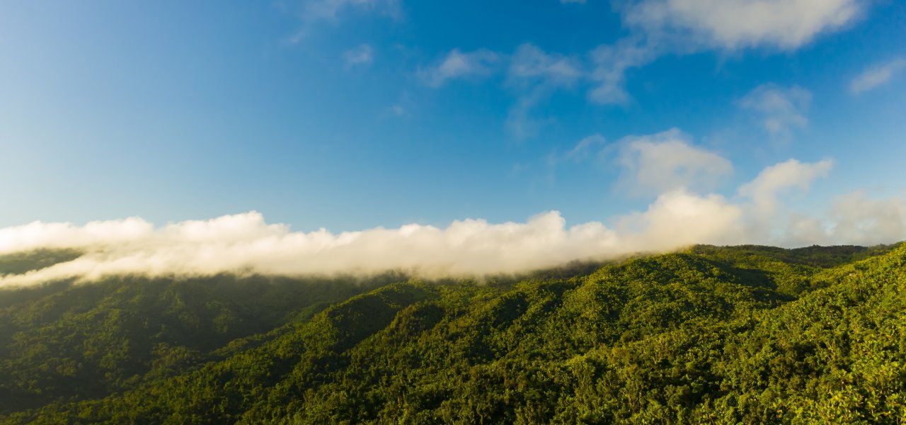 Qué hacer en Río Grande By Discover Puerto Rico header image.
