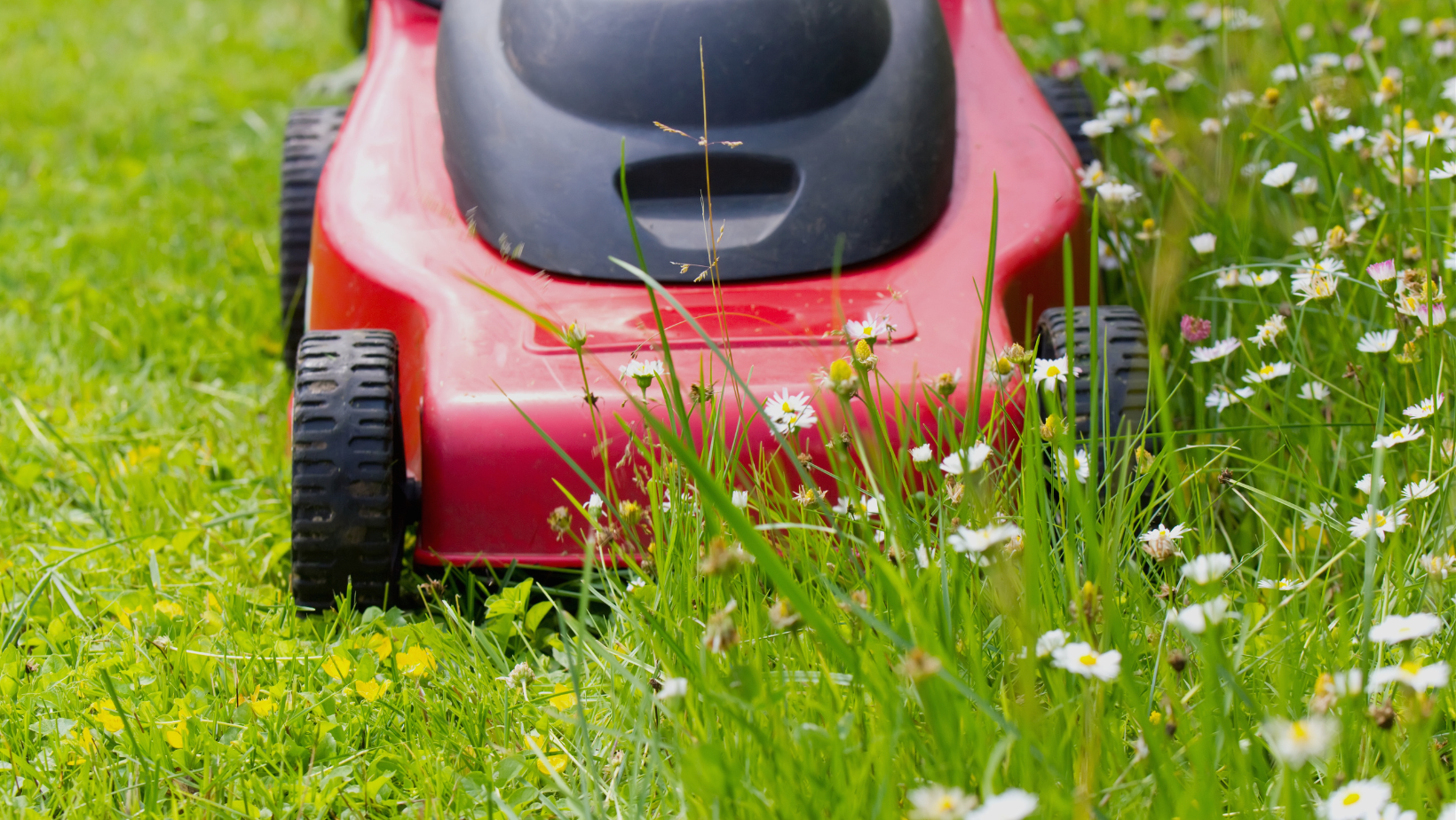 What’s Up With Electric Lawnmowers? By HomeKeepr header image.