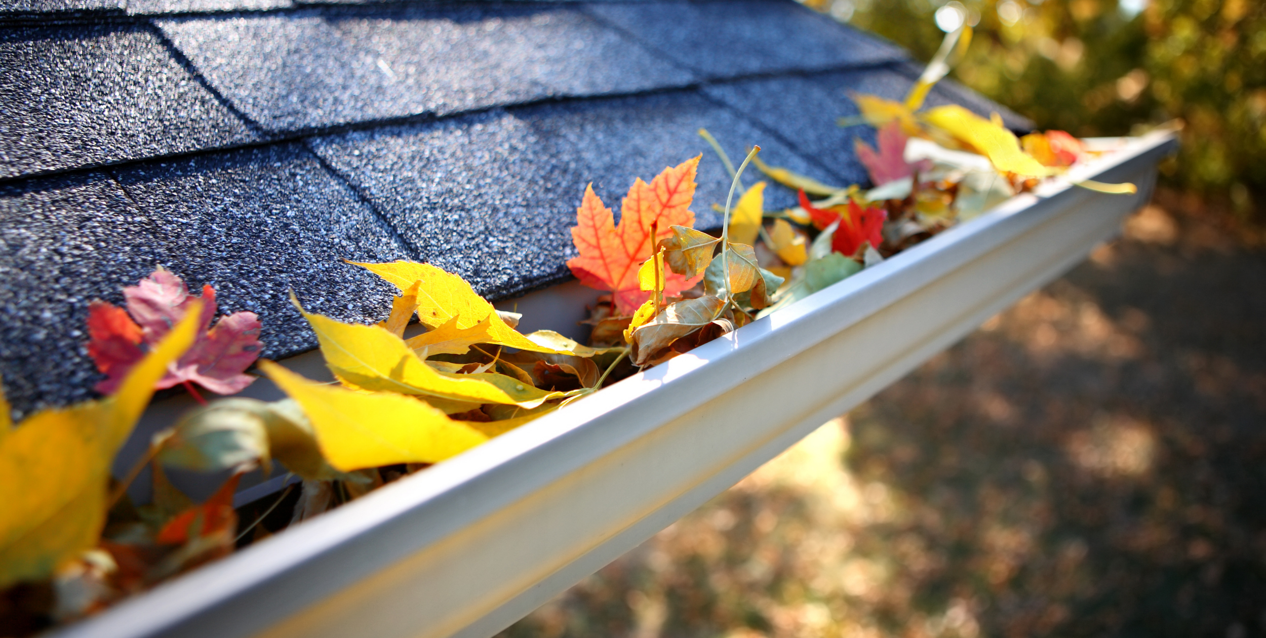Gutter Cleaning Tips and Tricks by Homekeepr header image.