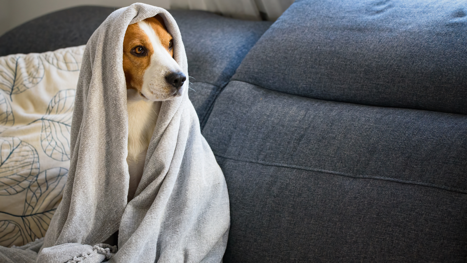 Why Winterize? By HomeKeepr header image.