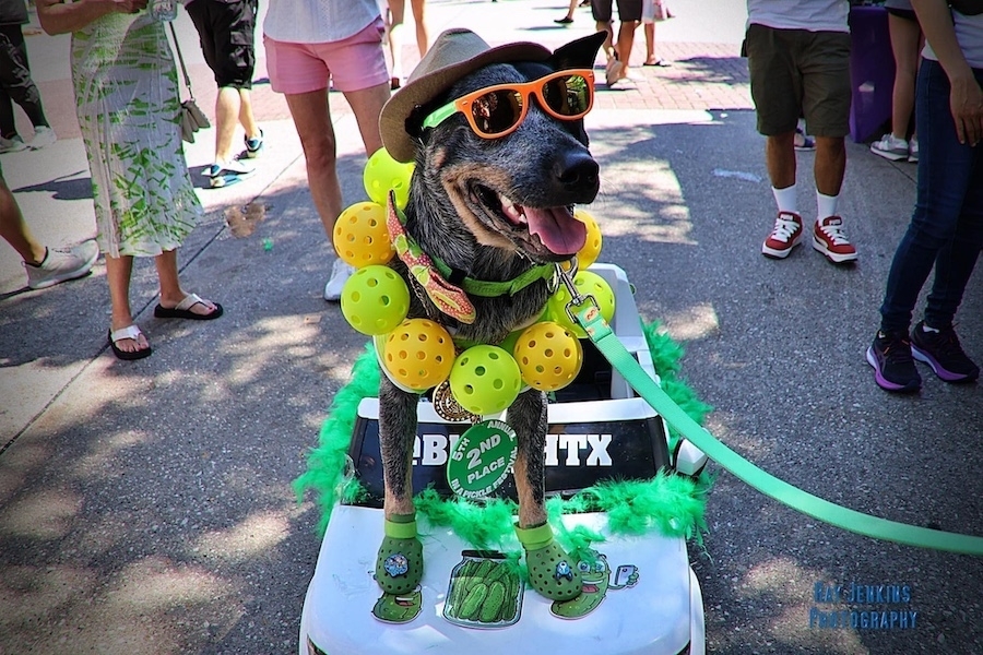 In a Pickle Festival, Tai Chi: 4 Lake Houston-area events this weekend, Sept. 5-7 By Community Impact header image.