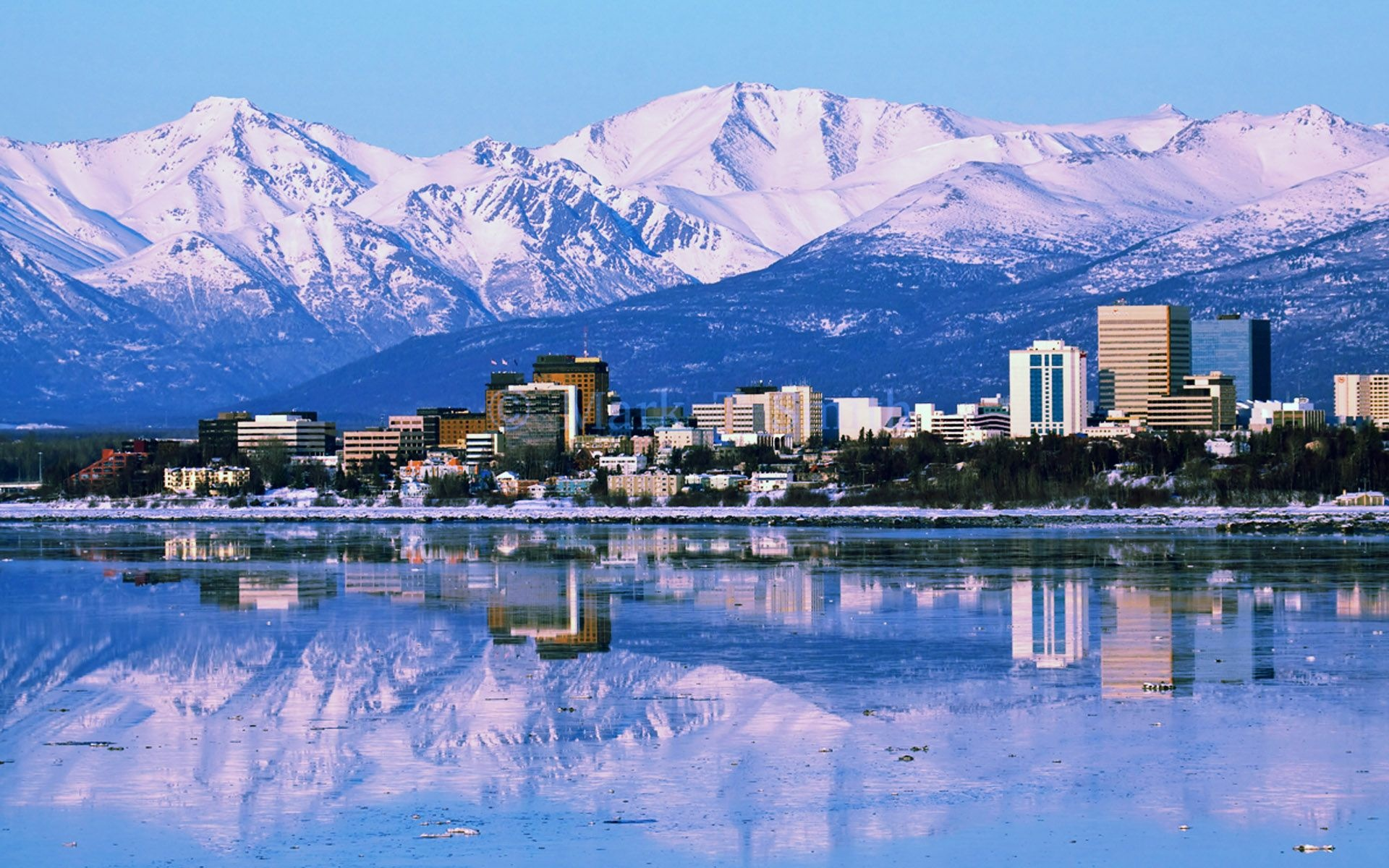 Unlocking Alaska Black Friday BLISS header image.