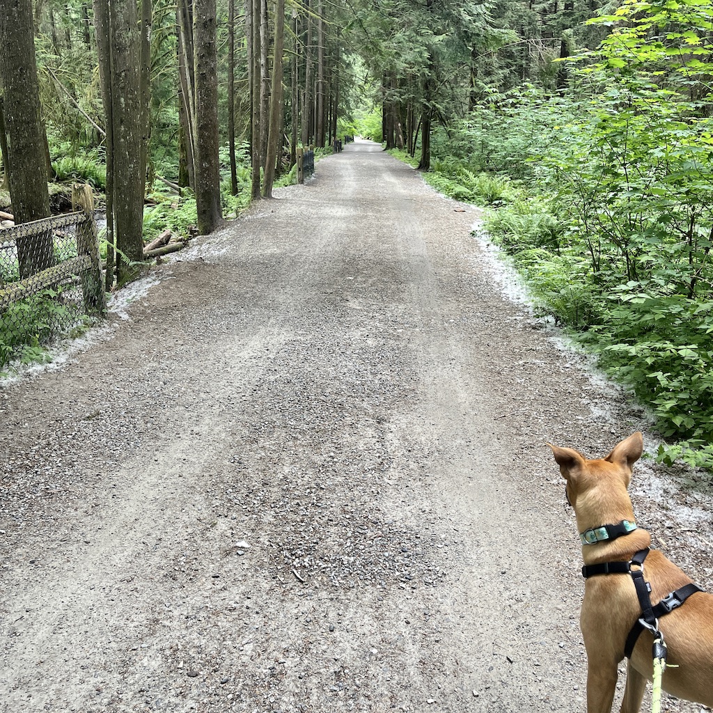 Why We LOVE The Tricities header image.