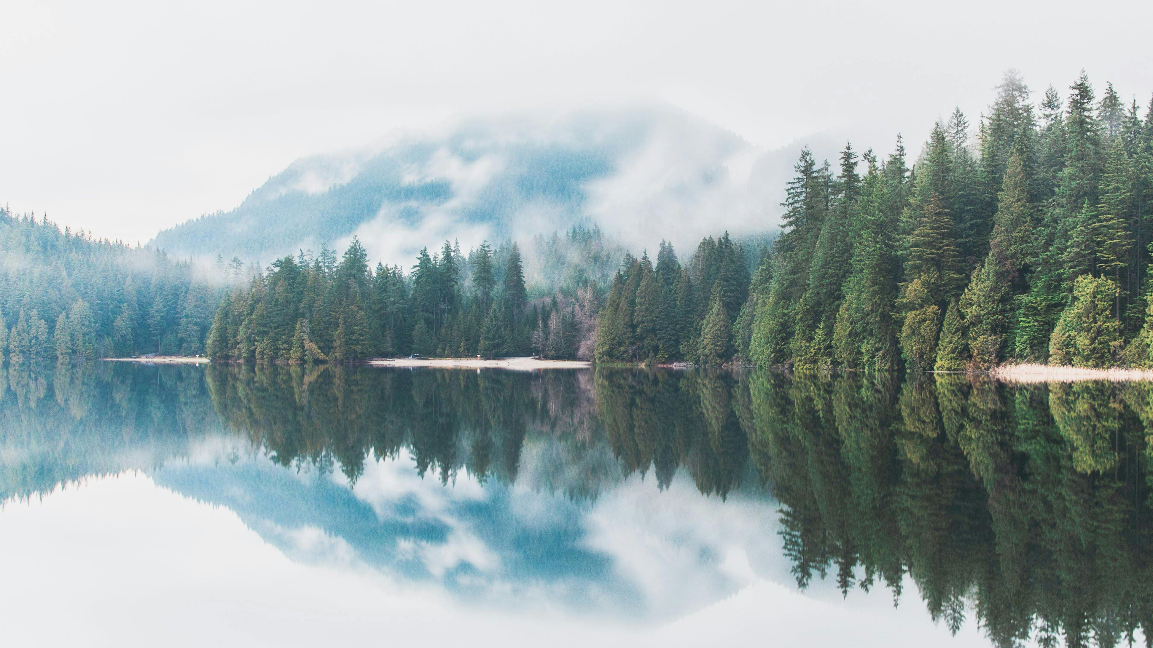 A Busy December, Fresh Momentum & What’s Ahead for 2026 header image.