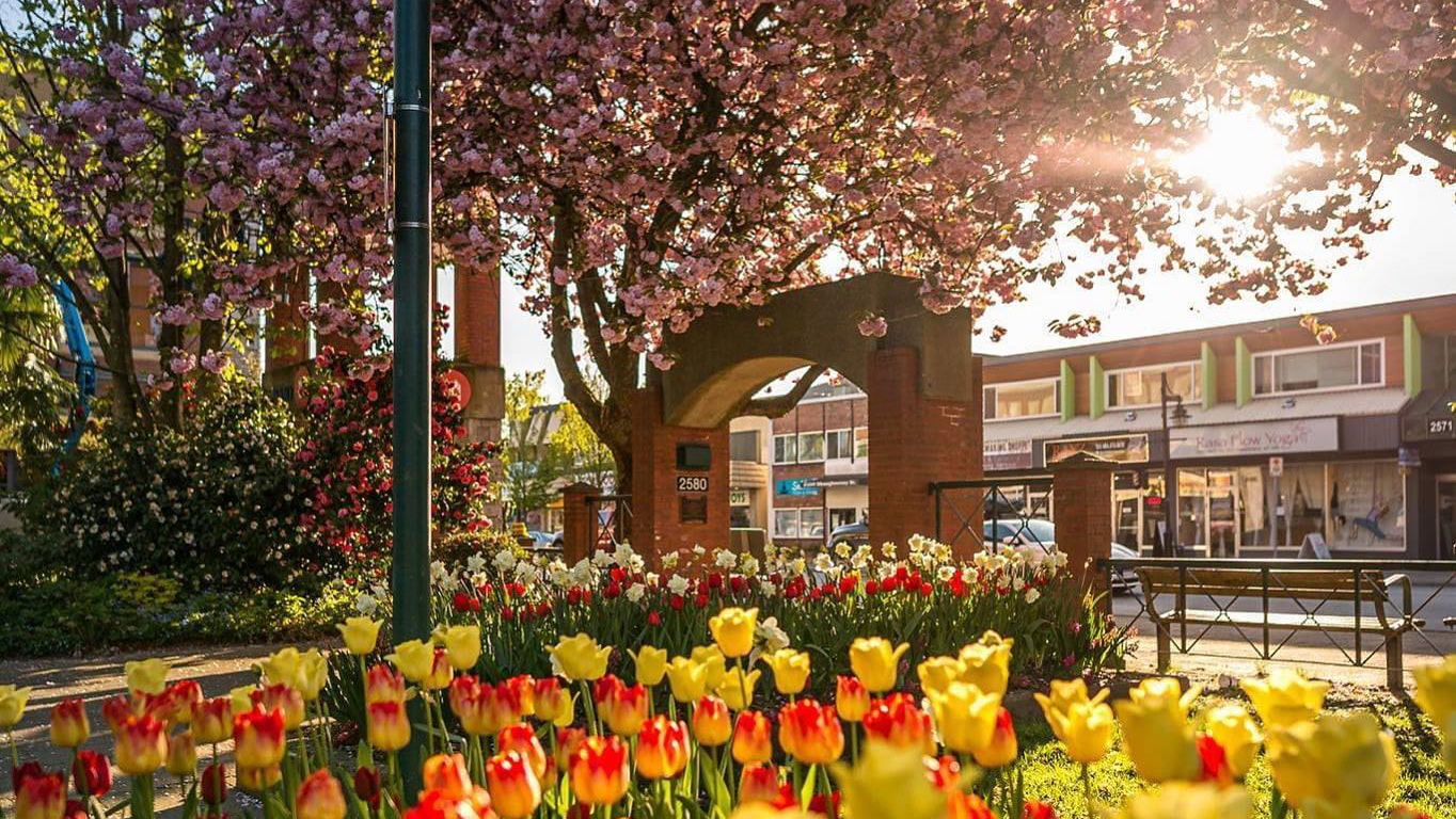 Spring has officially arrived in the Tri-Cities header image.