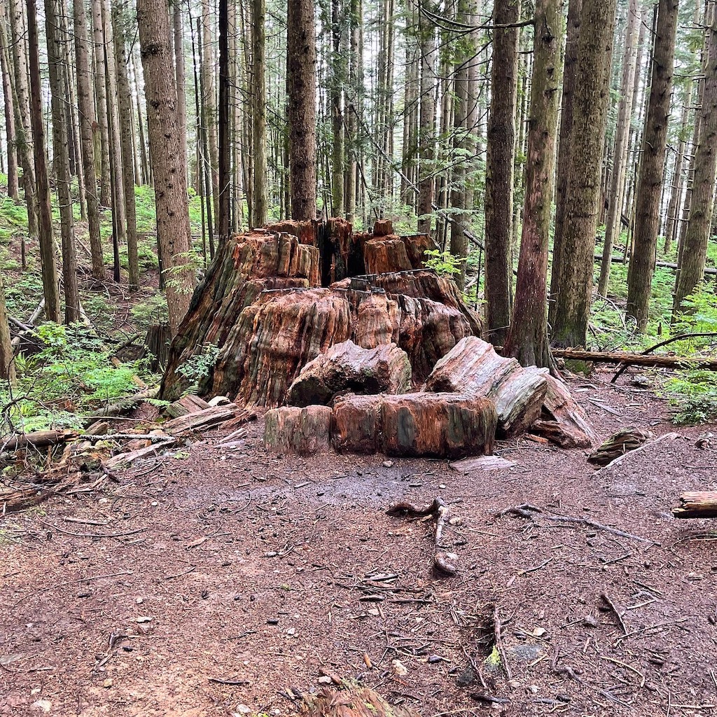 A History of Burke Mountain header image.