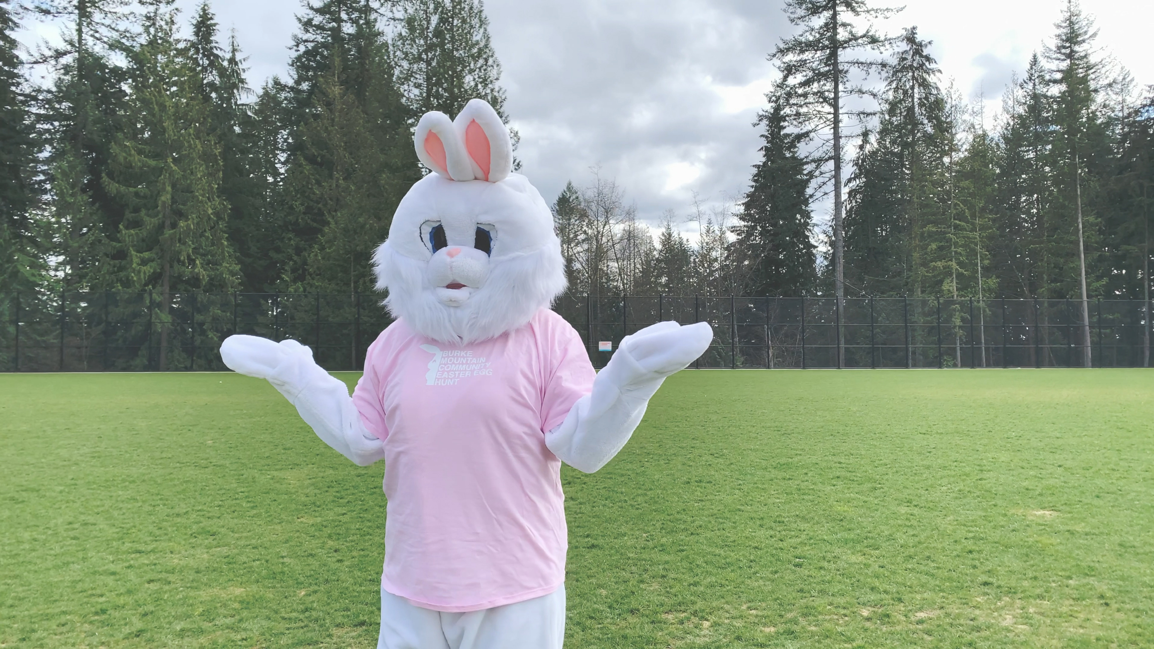 Our Friends at Tri-City Transitions header image.