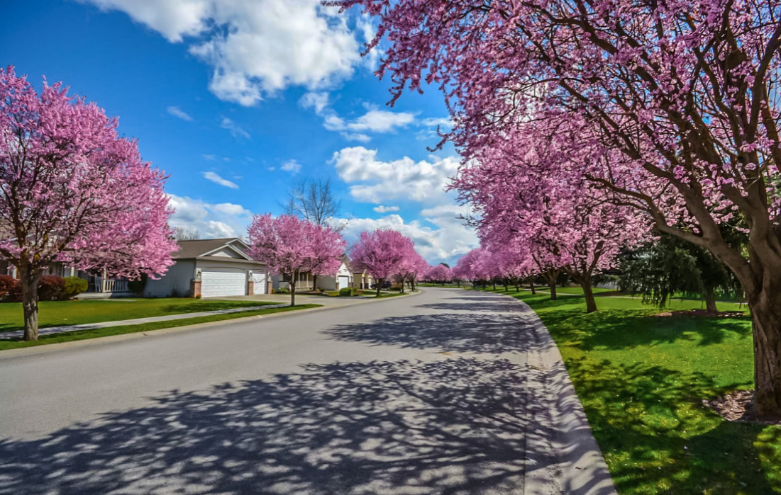 Your Simple Guide to 15 Spring Home Maintenance Tasks header image.