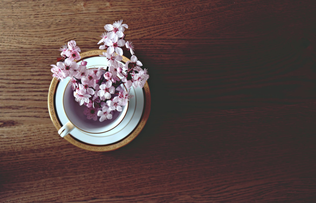 Your Perfect Central New Jersey Spring Weekend header image.