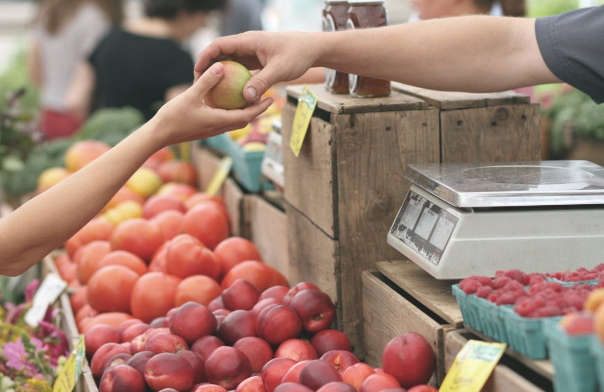 The Burlington, Camden, and Gloucester County Events Guide- Weekend of April 20-22 header image.