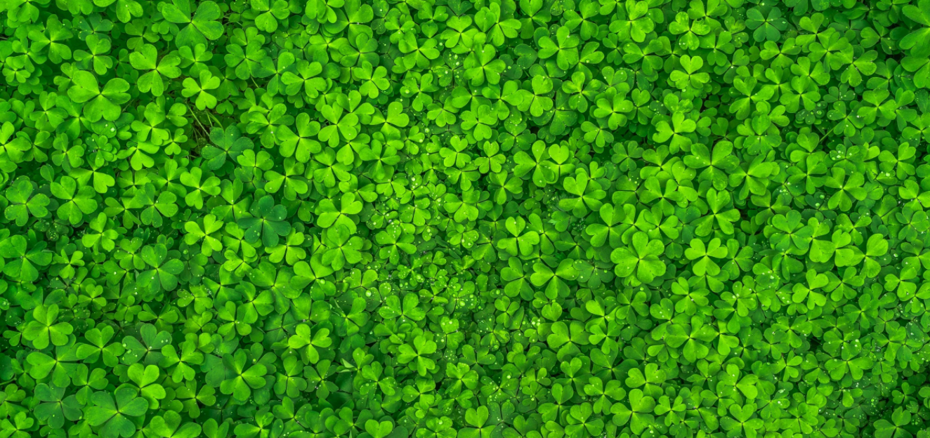 The Burlington, Camden, and Gloucester County Events Guide- Weekend of March 2-4 header image.