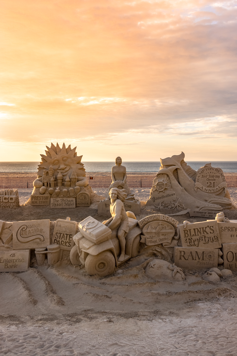 SEACOAST BEACH GUIDE header image.