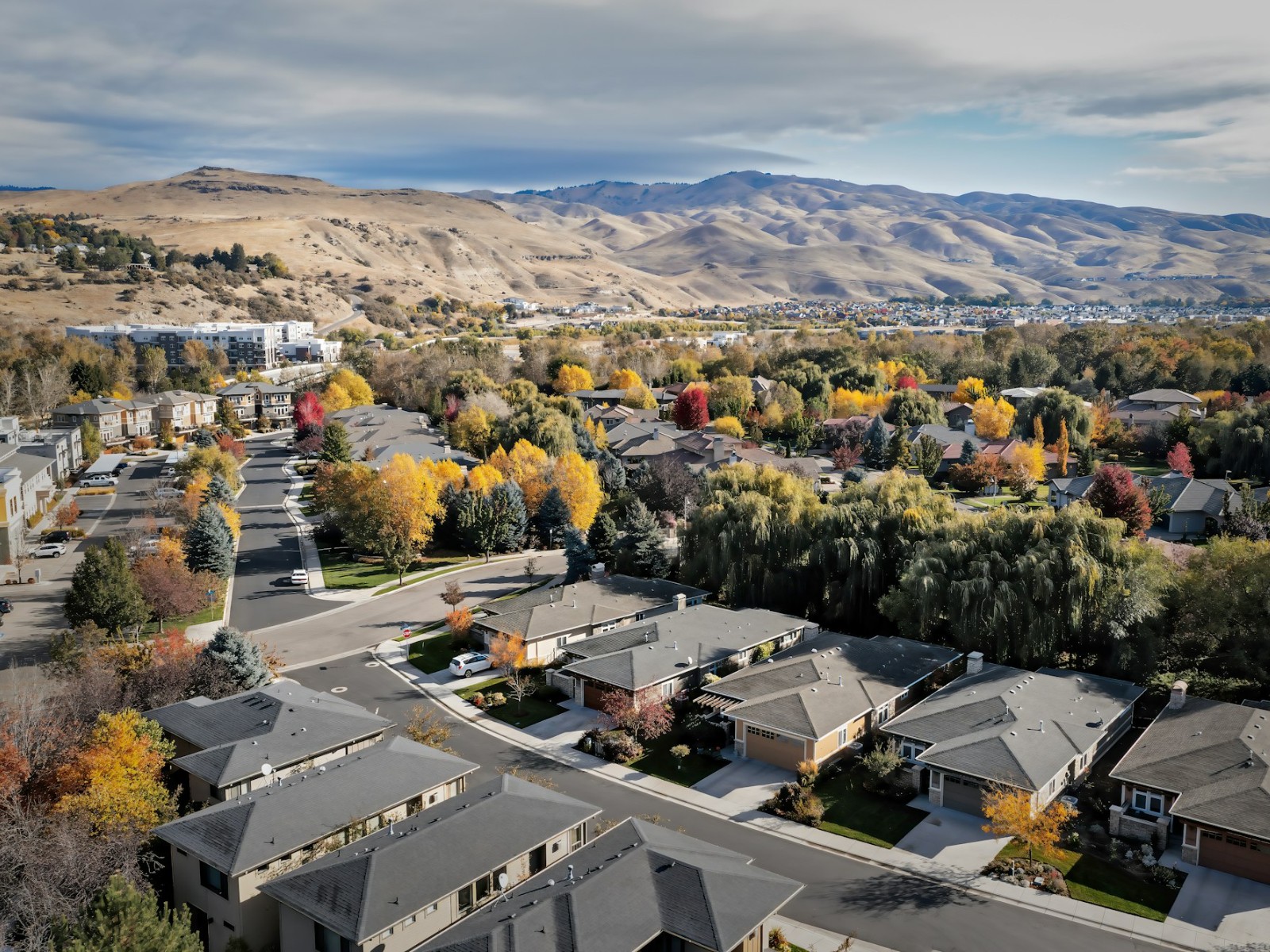 The Meridian Advantage: Why 