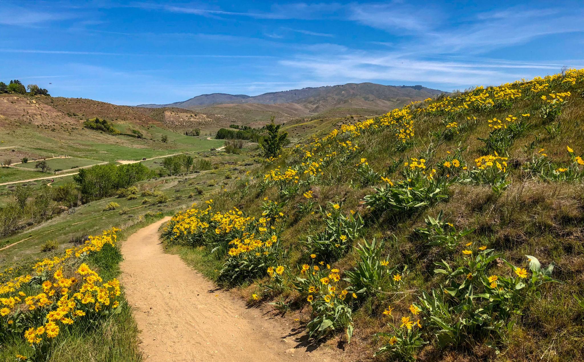 Boise Foothills