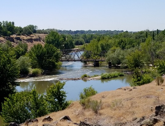 Current Canyon County Market Update header image.