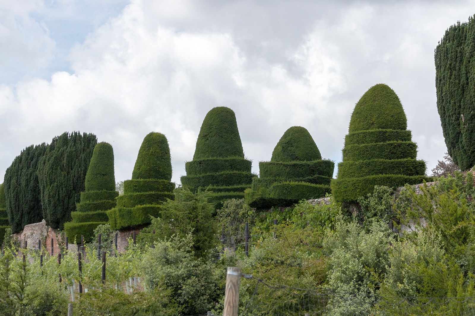 What is CAM and is it negotiable? header image.