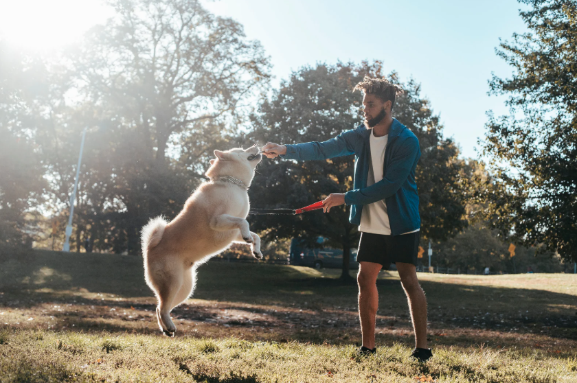 Best Dog-Friendly Spots & Parks Around Augusta header image.