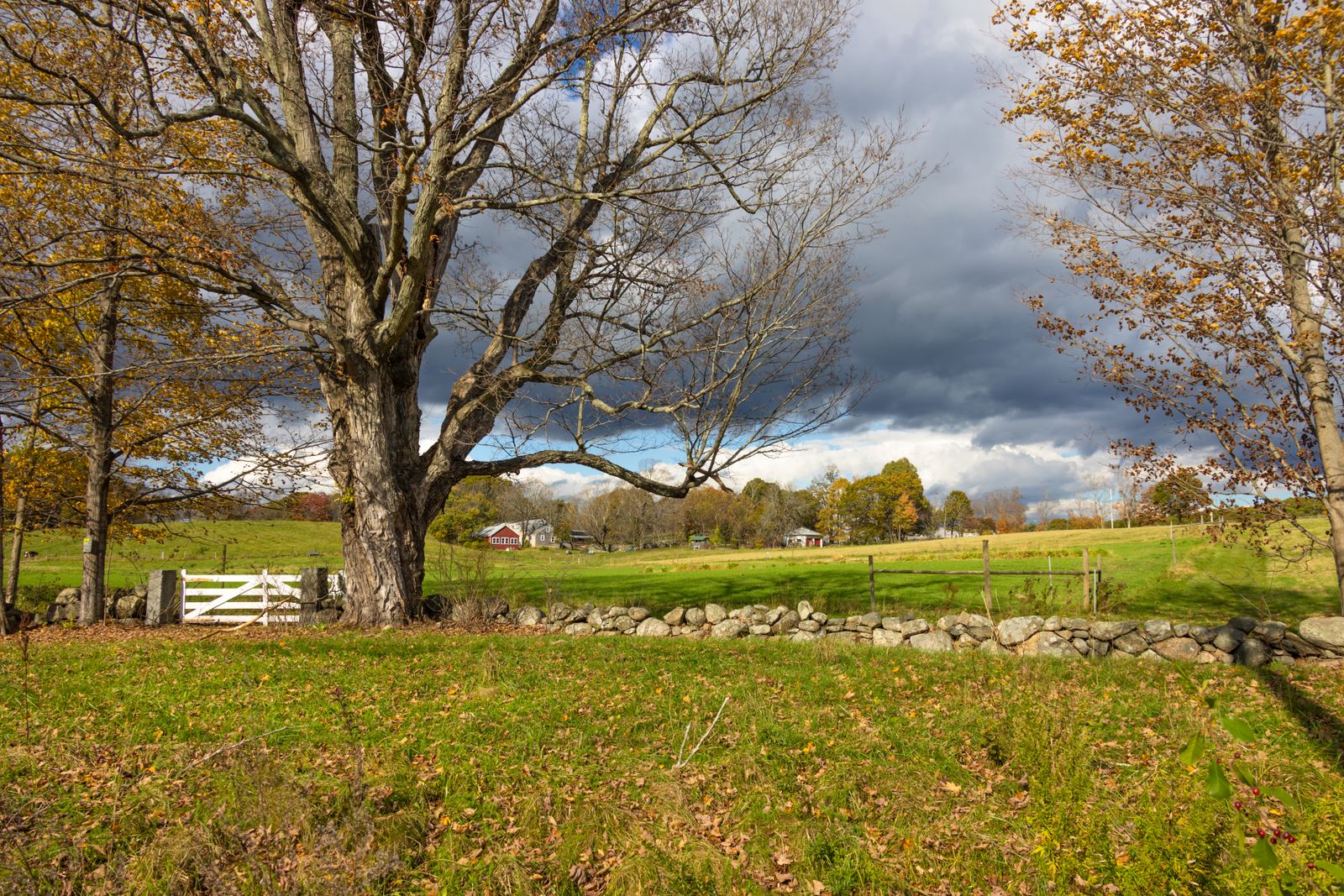 Bare maple, stone wall and white farm gate in a New England field with a red barn in the distance - quietest towns in New Hampshire