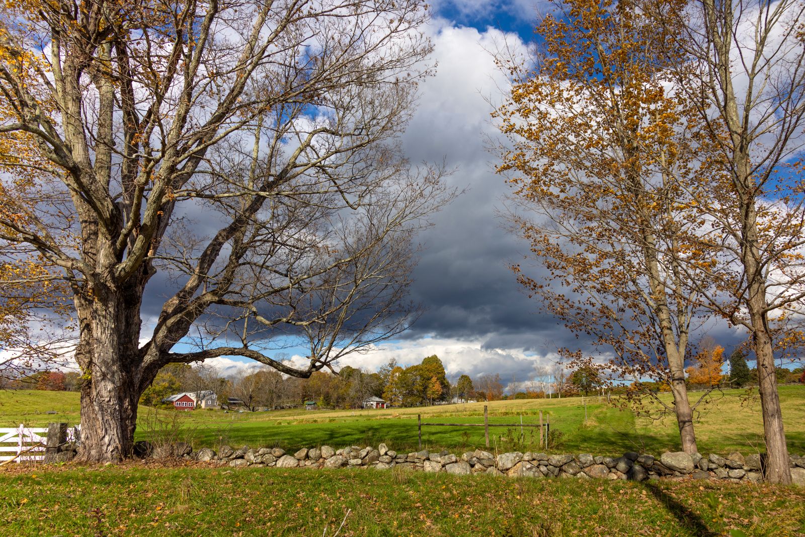 Bare maple, stone wall and white farm gate in a New England field under a dramatic autumn sky - best NH towns near the Massachusetts border